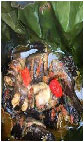 Opu Fish